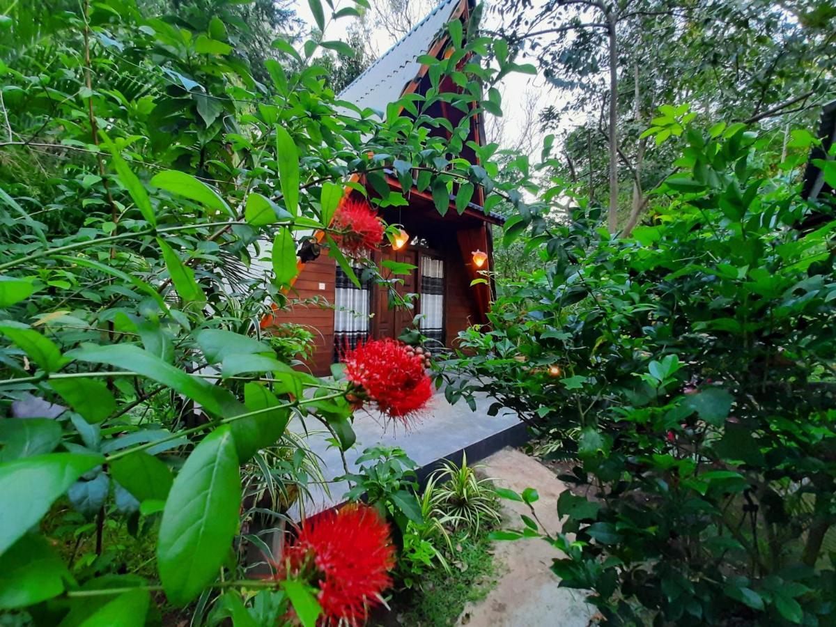 The Otunna Guest House Sigiriya Exterior photo