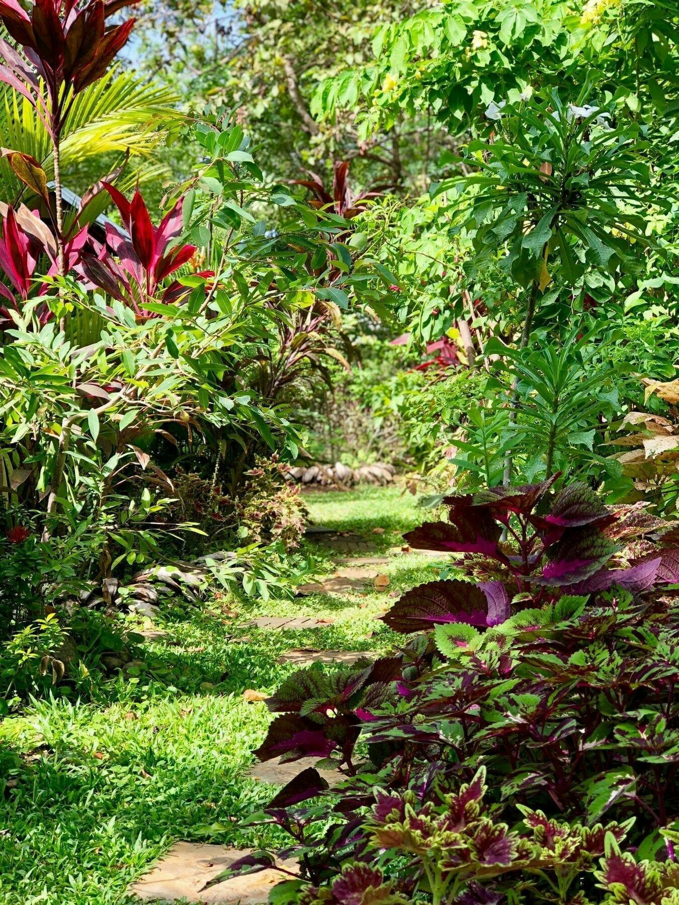 The Otunna Guest House Sigiriya Exterior photo